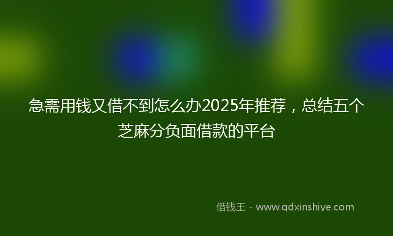急需用钱又借不到怎么办2025年推荐，总结五个芝麻分负面借款的平台