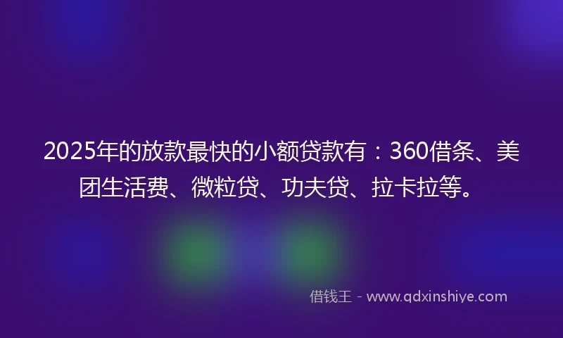 2025年的放款最快的小额贷款有：360借条、美团生活费、微粒贷、功夫贷、拉卡拉等。