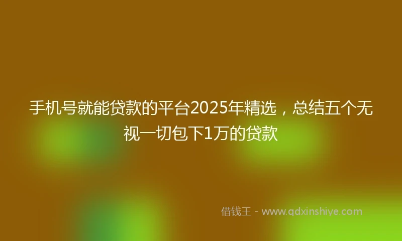 手机号就能贷款的平台2025年精选，总结五个无视一切包下1万的贷款