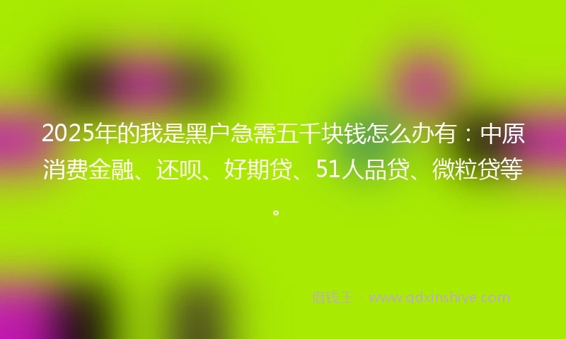 2025年的我是黑户急需五千块钱怎么办有：中原消费金融、还呗、好期贷、51人品贷、微粒贷等。