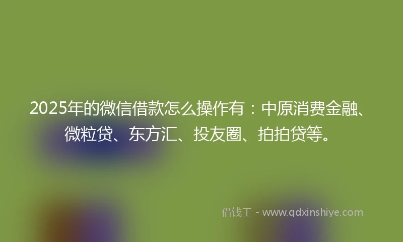 2025年的微信借款怎么操作有：中原消费金融、微粒贷、东方汇、投友圈、拍拍贷等。