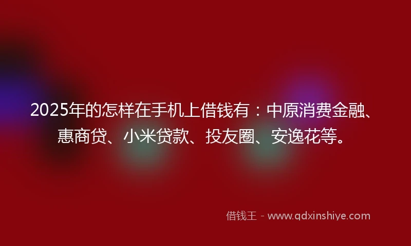 2025年的怎样在手机上借钱有：中原消费金融、惠商贷、小米贷款、投友圈、安逸花等。