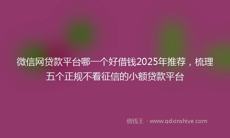 微信网贷款平台哪一个好借钱2025年推荐，梳理五个正规不看征信的小额贷款平台