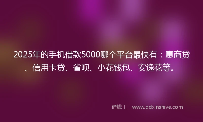 2025年的手机借款5000哪个平台最快有：惠商贷、信用卡贷、省呗、小花钱包、安逸花等。