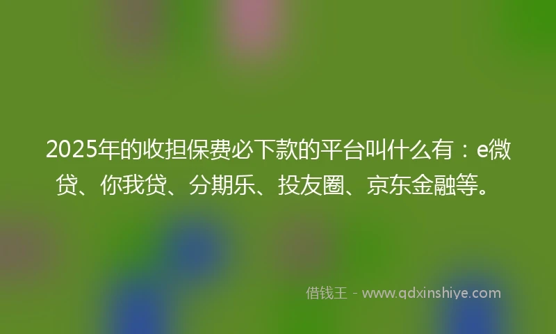 2025年的收担保费必下款的平台叫什么有：e微贷、你我贷、分期乐、投友圈、京东金融等。