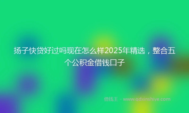 扬子快贷好过吗现在怎么样2025年精选，整合五个公积金借钱口子