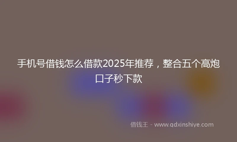 手机号借钱怎么借款2025年推荐，整合五个高炮口子秒下款