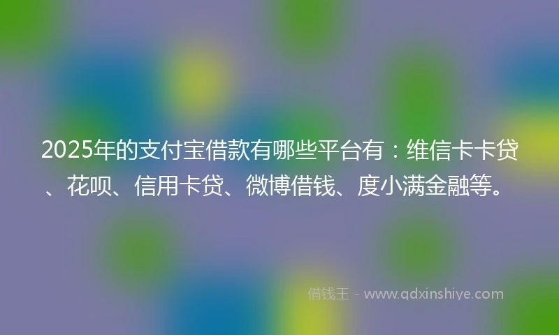 2025年的支付宝借款有哪些平台有：维信卡卡贷、花呗、信用卡贷、微博借钱、度小满金融等。