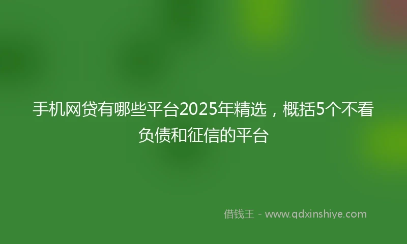 手机网贷有哪些平台2025年精选，概括5个不看负债和征信的平台