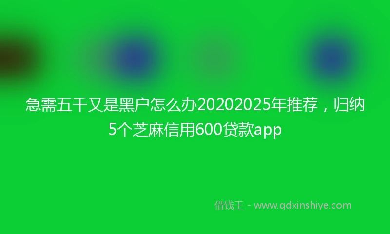 急需五千又是黑户怎么办20202025年推荐，归纳5个芝麻信用600贷款app
