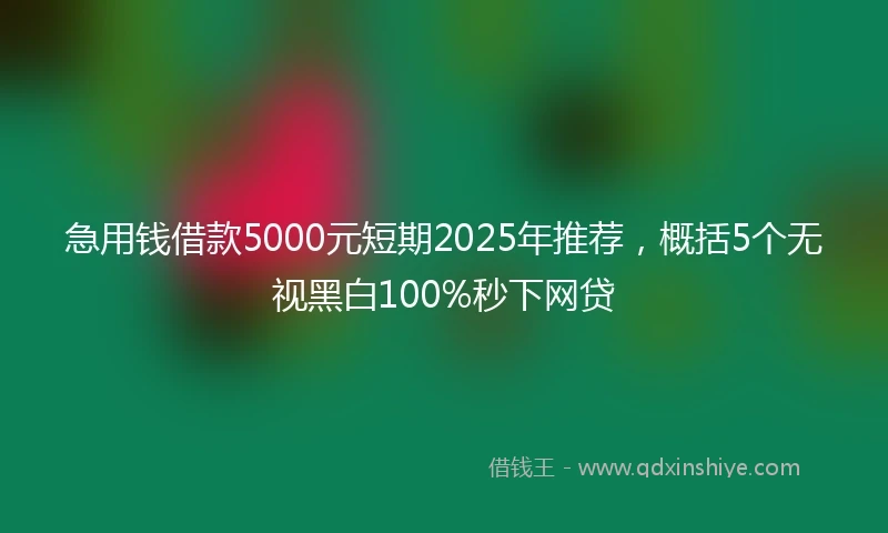 急用钱借款5000元短期2025年推荐，概括5个无视黑白100%秒下网贷