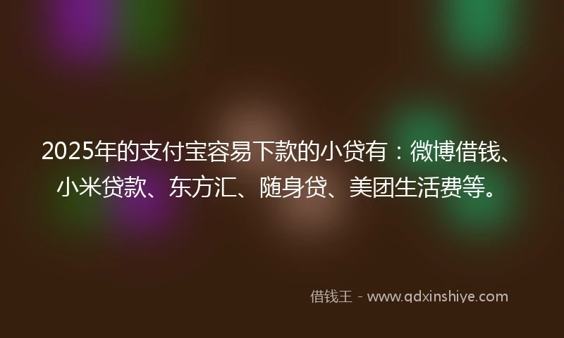 2025年的支付宝容易下款的小贷有：微博借钱、小米贷款、东方汇、随身贷、美团生活费等。