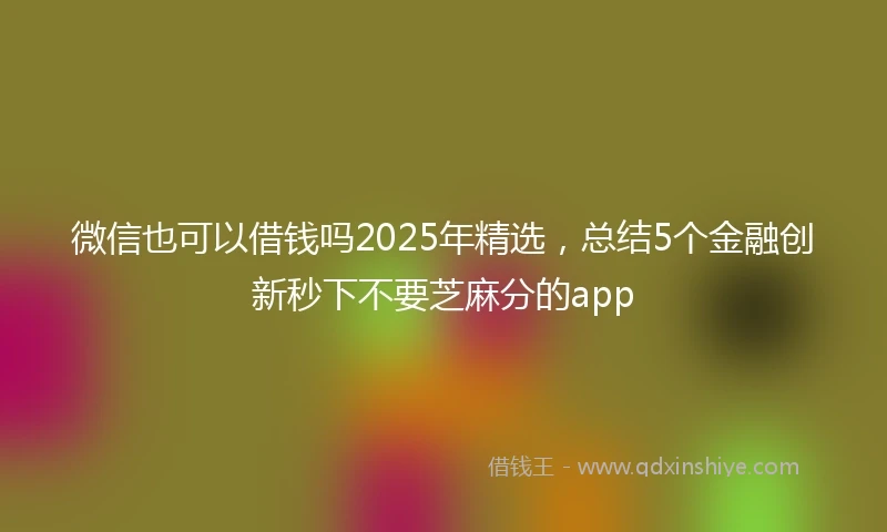 微信也可以借钱吗2025年精选，总结5个金融创新秒下不要芝麻分的app