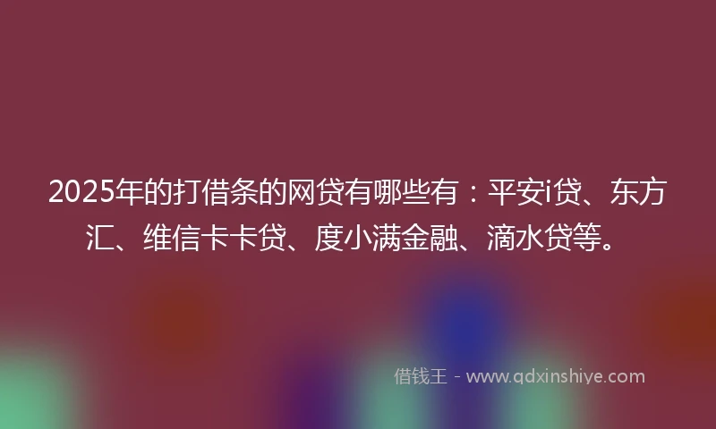 2025年的打借条的网贷有哪些有：平安i贷、东方汇、维信卡卡贷、度小满金融、滴水贷等。