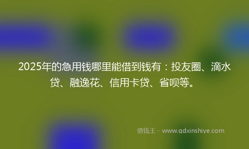 2025年的急用钱哪里能借到钱有：投友圈、滴水贷、融逸花、信用卡贷、省呗等。