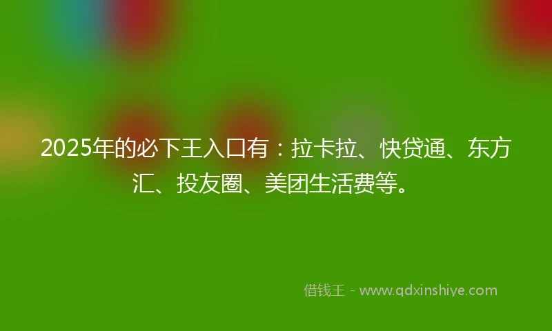 2025年的必下王入口有：拉卡拉、快贷通、东方汇、投友圈、美团生活费等。
