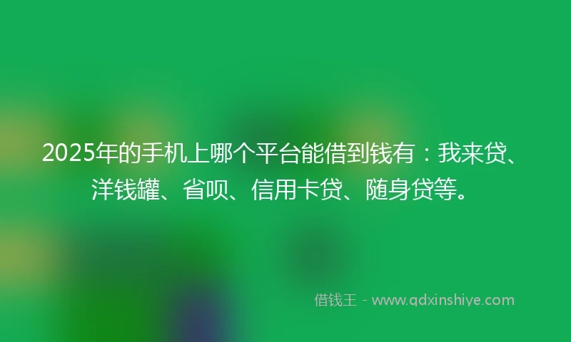 2025年的手机上哪个平台能借到钱有：我来贷、洋钱罐、省呗、信用卡贷、随身贷等。