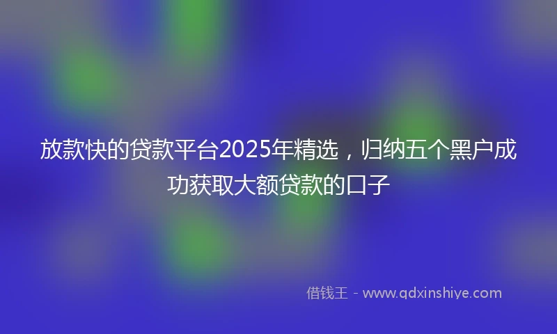 放款快的贷款平台2025年精选，归纳五个黑户成功获取大额贷款的口子