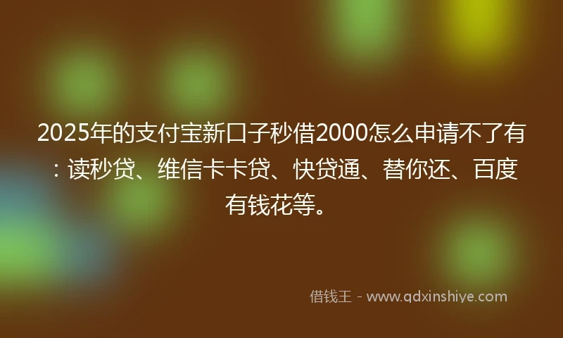 2025年的支付宝新口子秒借2000怎么申请不了有：读秒贷、维信卡卡贷、快贷通、替你还、百度有钱花等。