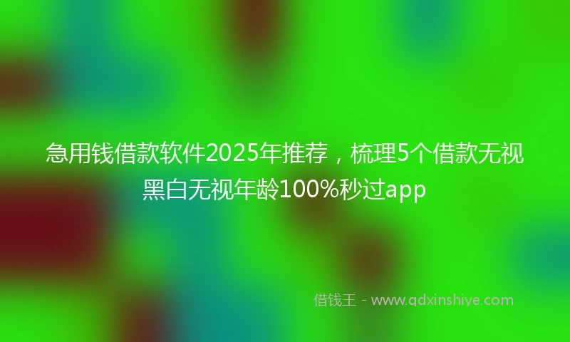 急用钱借款软件2025年推荐，梳理5个借款无视黑白无视年龄100%秒过app