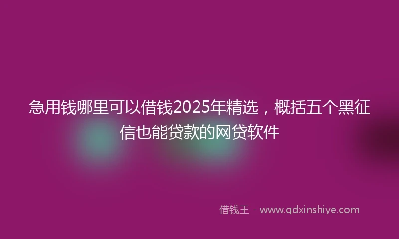 急用钱哪里可以借钱2025年精选，概括五个黑征信也能贷款的网贷软件
