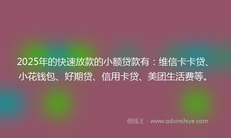 2025年的快速放款的小额贷款有：维信卡卡贷、小花钱包、好期贷、信用卡贷、美团生活费等。