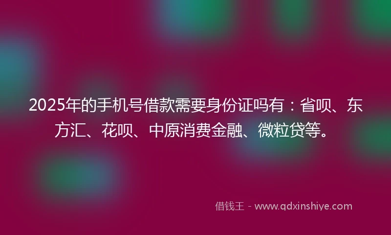 2025年的手机号借款需要身份证吗有：省呗、东方汇、花呗、中原消费金融、微粒贷等。
