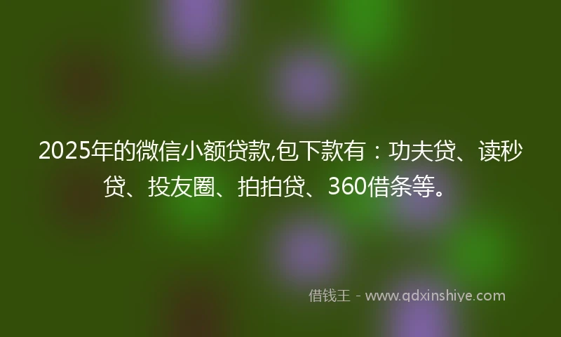 2025年的微信小额贷款,包下款有：功夫贷、读秒贷、投友圈、拍拍贷、360借条等。