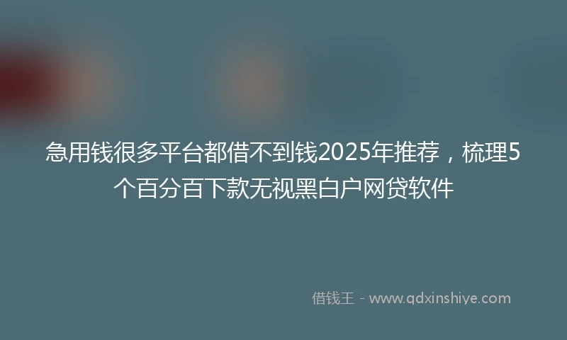 急用钱很多平台都借不到钱2025年推荐，梳理5个百分百下款无视黑白户网贷软件