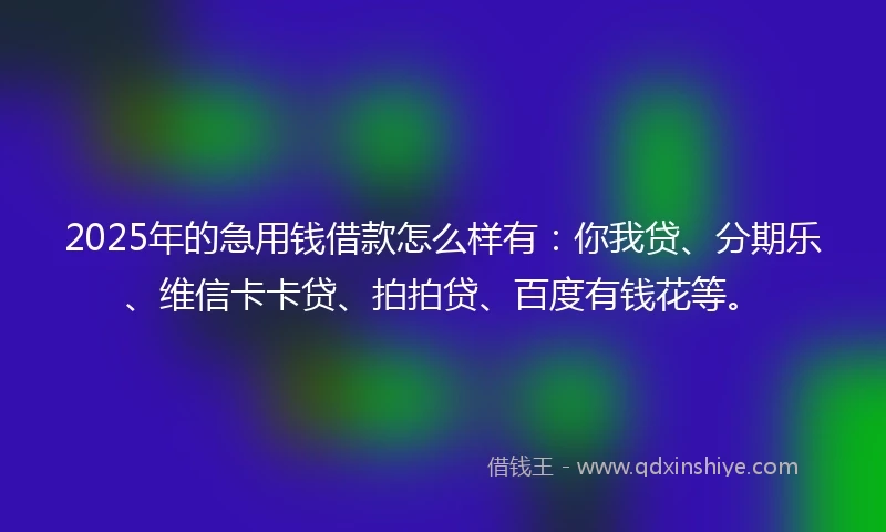 2025年的急用钱借款怎么样有：你我贷、分期乐、维信卡卡贷、拍拍贷、百度有钱花等。