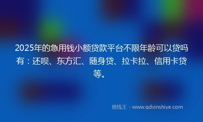 2025年的急用钱小额贷款平台不限年龄可以贷吗有：还呗、东方汇、随身贷、拉卡拉、信用卡贷等。