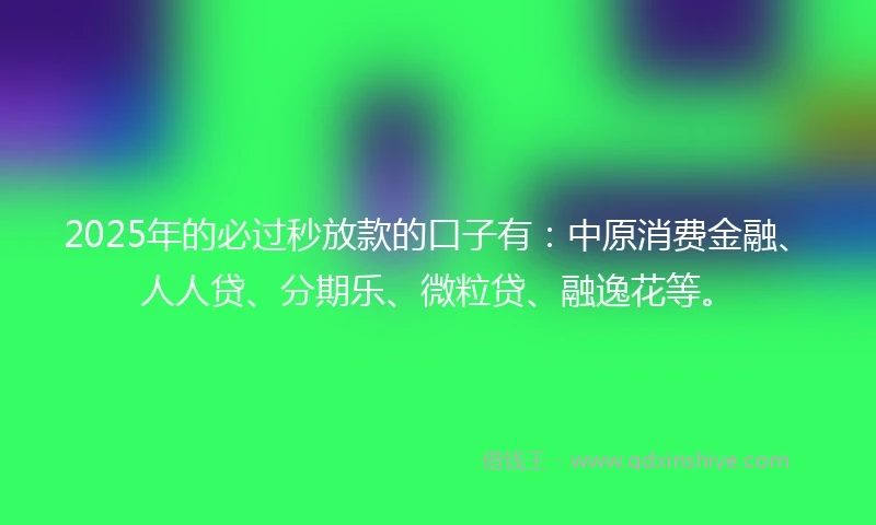 2025年的必过秒放款的口子有：中原消费金融、人人贷、分期乐、微粒贷、融逸花等。