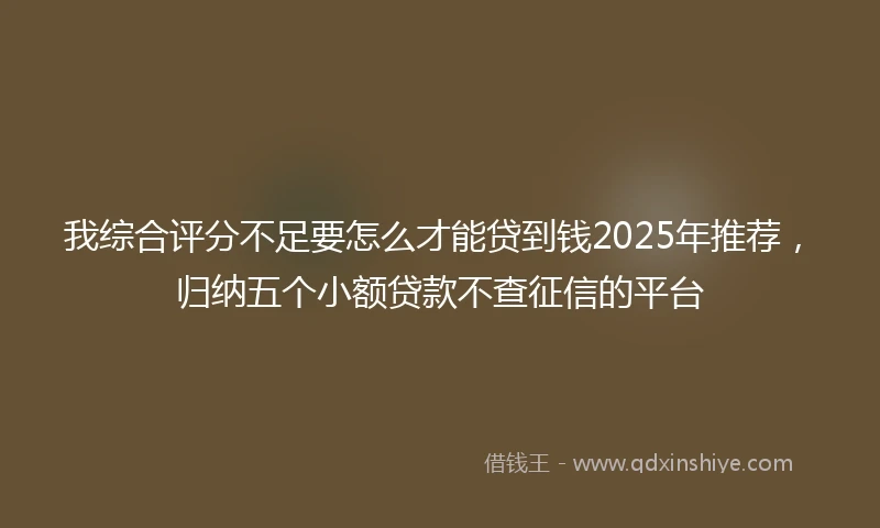 我综合评分不足要怎么才能贷到钱2025年推荐，归纳五个小额贷款不查征信的平台