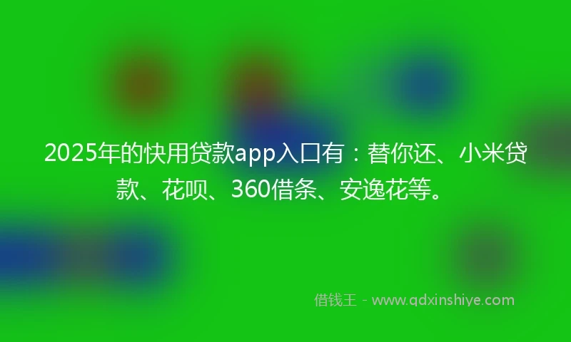 2025年的快用贷款app入口有：替你还、小米贷款、花呗、360借条、安逸花等。
