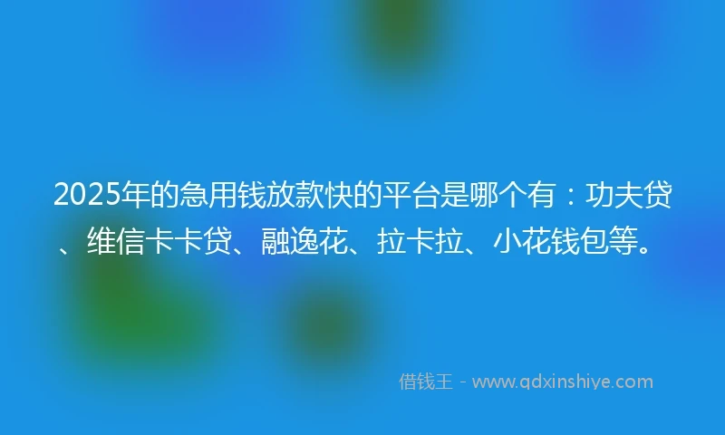 2025年的急用钱放款快的平台是哪个有：功夫贷、维信卡卡贷、融逸花、拉卡拉、小花钱包等。