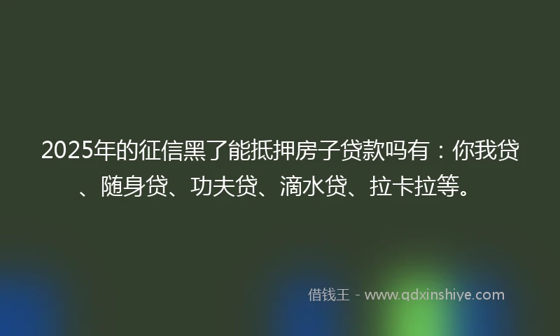 2025年的征信黑了能抵押房子贷款吗有：你我贷、随身贷、功夫贷、滴水贷、拉卡拉等。