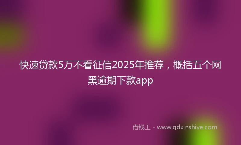 快速贷款5万不看征信2025年推荐，概括五个网黑逾期下款app