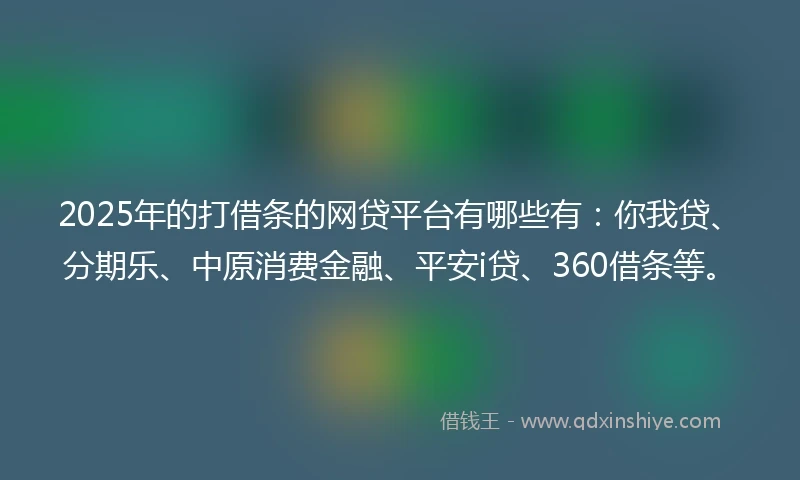 2025年的打借条的网贷平台有哪些有：你我贷、分期乐、中原消费金融、平安i贷、360借条等。