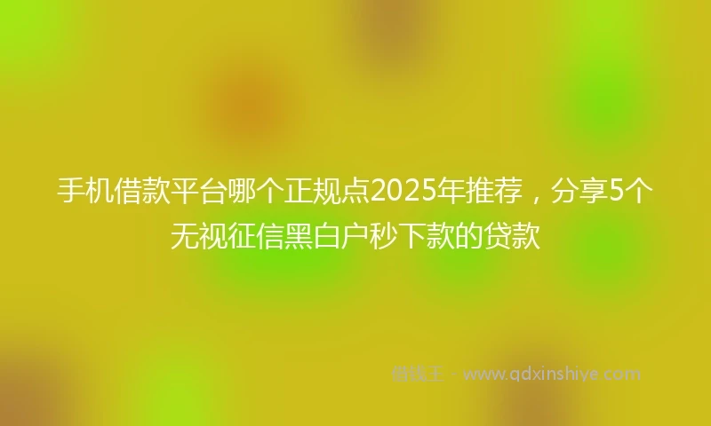 手机借款平台哪个正规点2025年推荐，分享5个无视征信黑白户秒下款的贷款