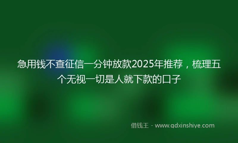 急用钱不查征信一分钟放款2025年推荐，梳理五个无视一切是人就下款的口子