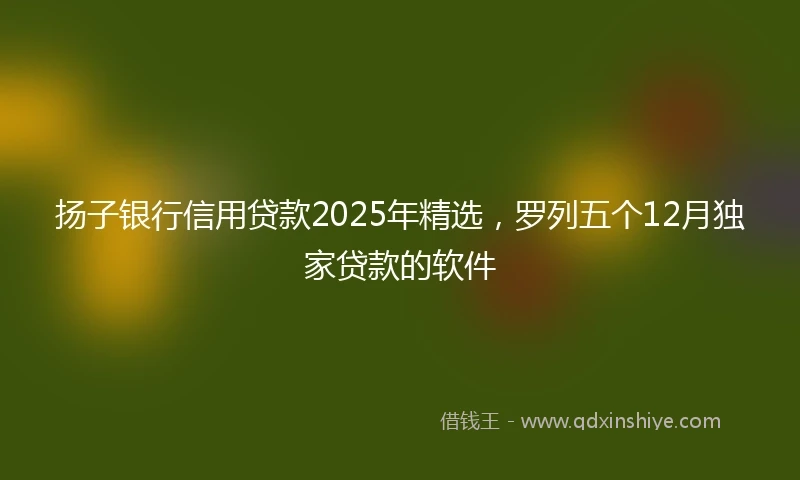扬子银行信用贷款2025年精选，罗列五个12月独家贷款的软件