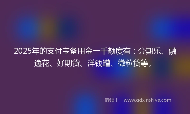 2025年的支付宝备用金一千额度有：分期乐、融逸花、好期贷、洋钱罐、微粒贷等。