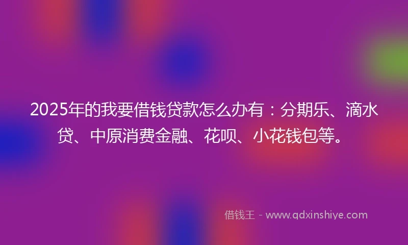 2025年的我要借钱贷款怎么办有：分期乐、滴水贷、中原消费金融、花呗、小花钱包等。