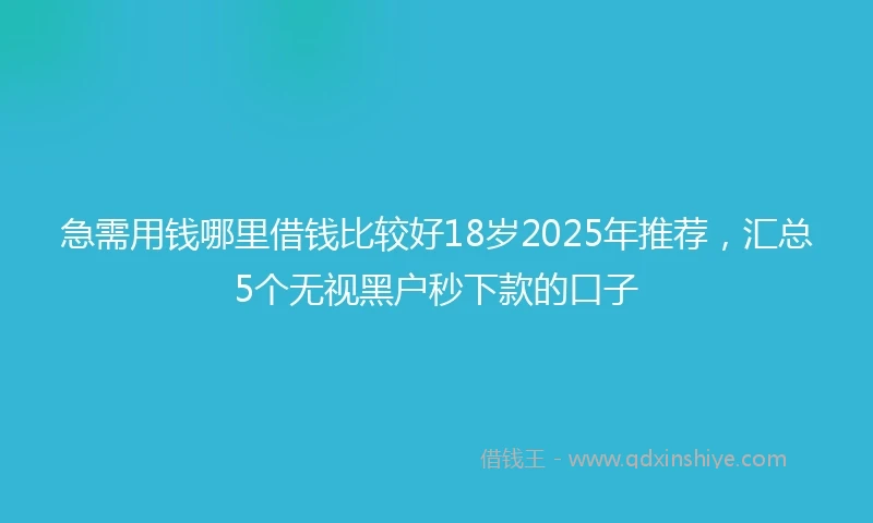 急需用钱哪里借钱比较好18岁2025年推荐，汇总5个无视黑户秒下款的口子