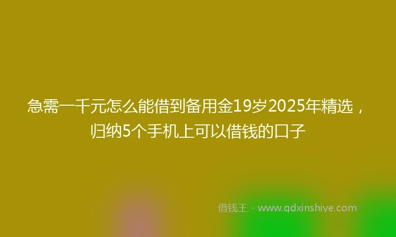 急需一千元怎么能借到备用金19岁2025年精选，归纳5个手机上可以借钱的口子