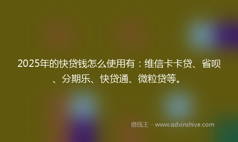 2025年的快贷钱怎么使用有：维信卡卡贷、省呗、分期乐、快贷通、微粒贷等。