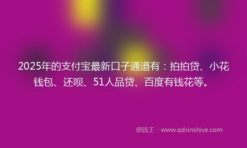 2025年的支付宝最新口子通道有：拍拍贷、小花钱包、还呗、51人品贷、百度有钱花等。