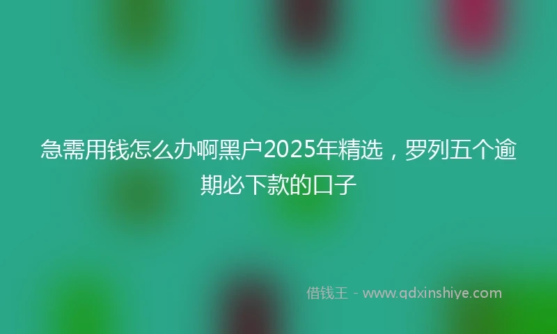 急需用钱怎么办啊黑户2025年精选，罗列五个逾期必下款的口子