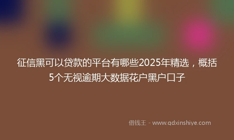 征信黑可以贷款的平台有哪些2025年精选，概括5个无视逾期大数据花户黑户口子
