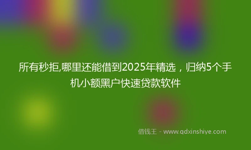 所有秒拒,哪里还能借到2025年精选,归纳5个手机小额黑户快速贷款软件